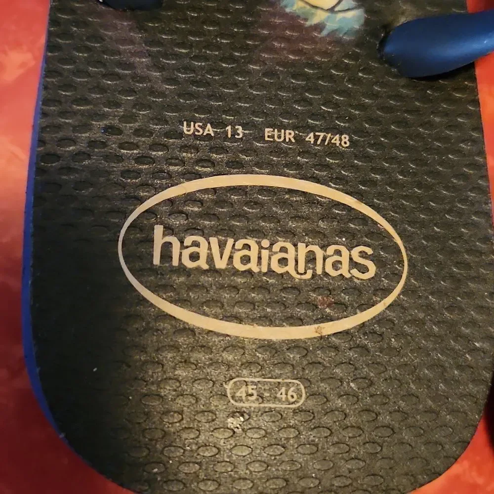 Havaianas this nwt